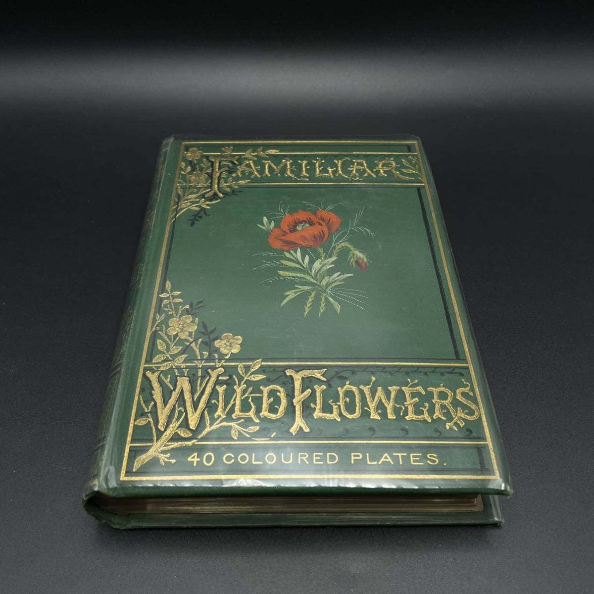 *1 шт ~5 шт комплект * 1880 год примерно Familiar Wild Flowers Edward *hyu-m работа Cassell & Co London выпуск иностранная книга античный 
