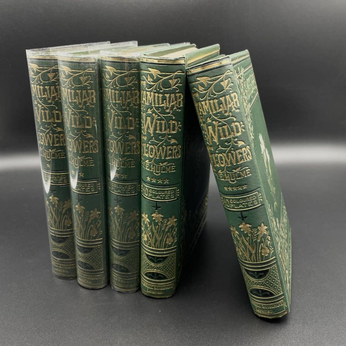 ◆1巻～5巻セット◆ 1880年頃 Familiar Wild Flowers エドワード・ヒューム著 Cassell & Co ロンドン発行 洋書 アンティークの画像1