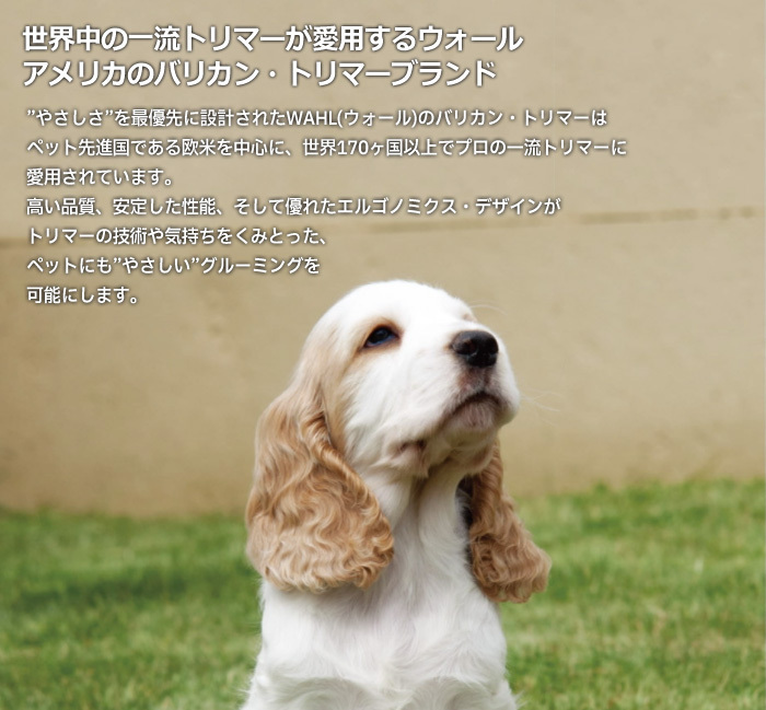 送料無料 WAHL スリッカーブラシ M 愛犬・愛猫用 ペット 犬用 猫用 抜け毛 トリミング【CP】_画像2