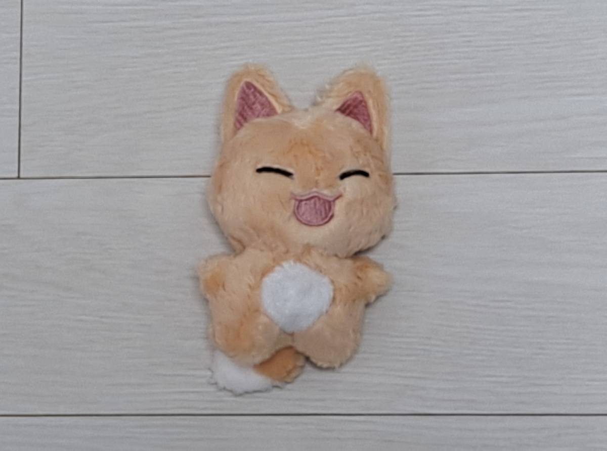 Stray Kids☆I.N アイエン ぬいぐるみ「ヤンパン」10cm 着せ替え☆DOLL