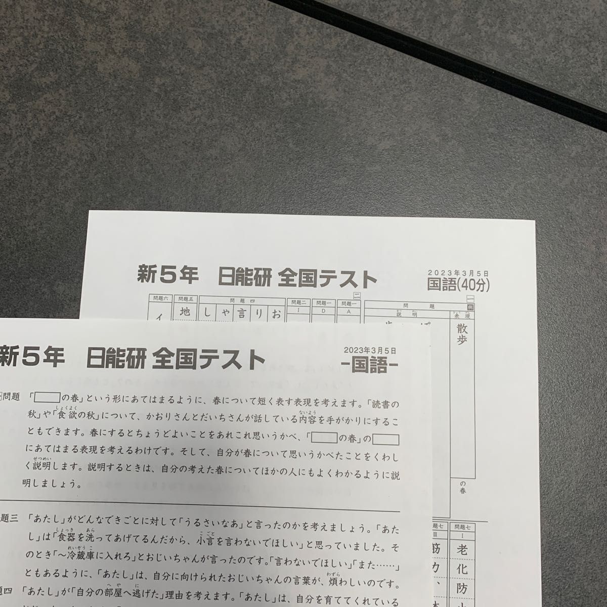 日能研 全国テスト 新5年【2023 3 5実施】2教科 国語・算数 保護 日能研 全国テスト 新5年【2023 3 5実施】2教科 国語・算数 保護