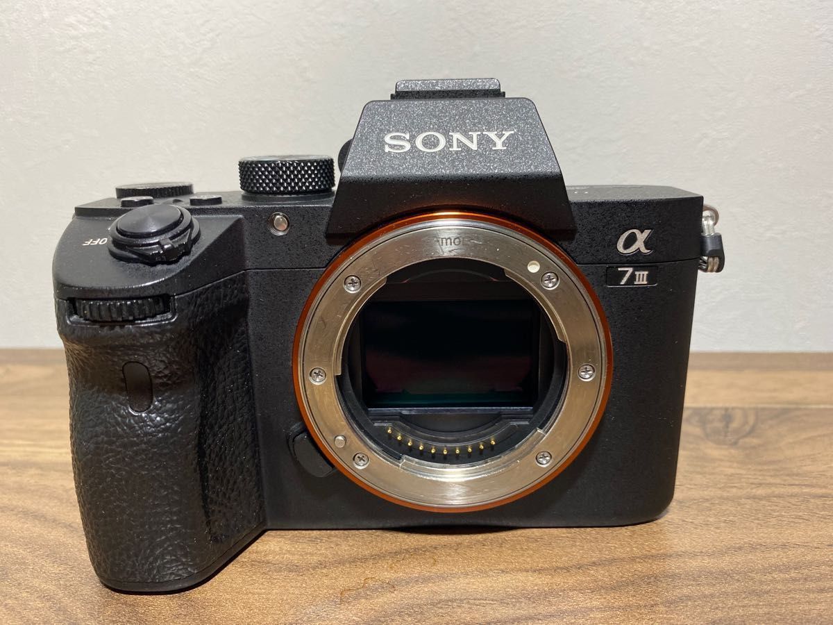 最終値下げ！ミラーレス一眼 SONY ILCE-7M3 α7III ボディ+付属品