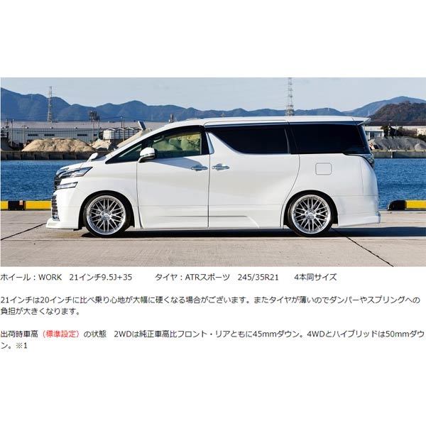 アクシススタイリング 全長調整式車高調 パーフェクトダンパー 5G