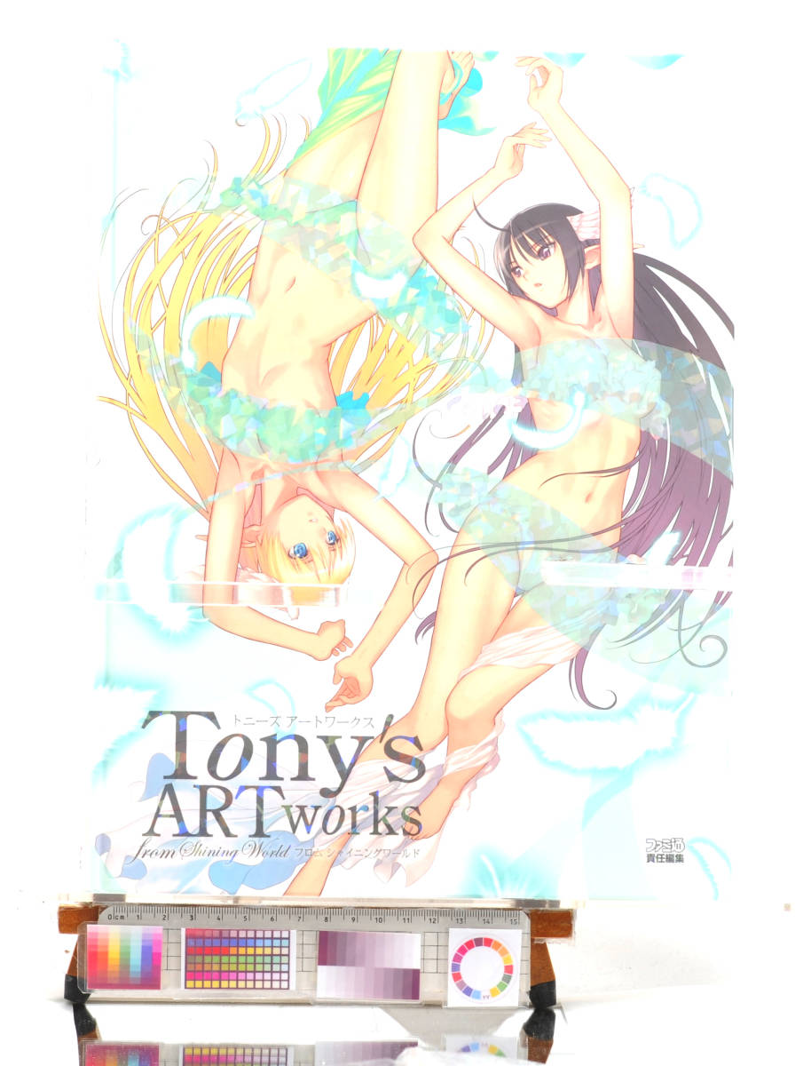 [Delivery Free]2009 Tony's Artworks From Shining World MOOK(A4)トニーズアートワークス　フロムシャイニングワールド[tagMOOK]