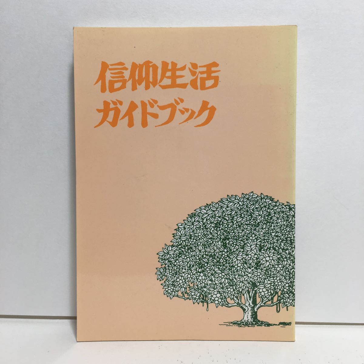 f1/信仰生活ガイドブック 日本聖約キリスト教団 1987 ゆうメール送料180円_画像1