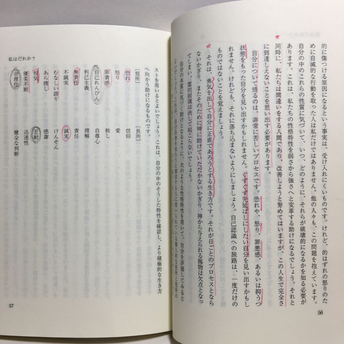 j1/心のいやし ヴァーノン・J・ビットナー 佐藤是伸訳 ディアコニアセンター ゆうメール送料180円の画像6