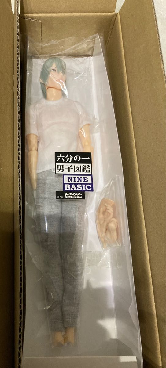 六分の一男子図鑑 B2010 ナイン 未使用 smartpools.pe