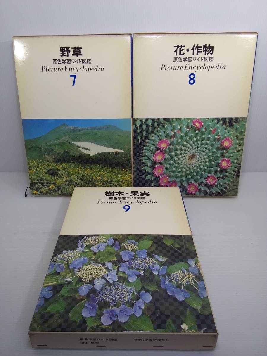 学研 原色学習ワイド図鑑 7. 野草 8. 花・作物 9. 樹木・果実 3冊セット ※ケースにヤケあり ※バラ売り不可_画像1