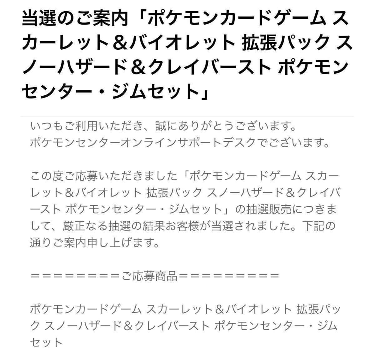 ポケモンカード ナンジャモセット ジムセット 拡張パック スノー ポケモンカード ナンジャモセット ジムセット 拡張パック スノー