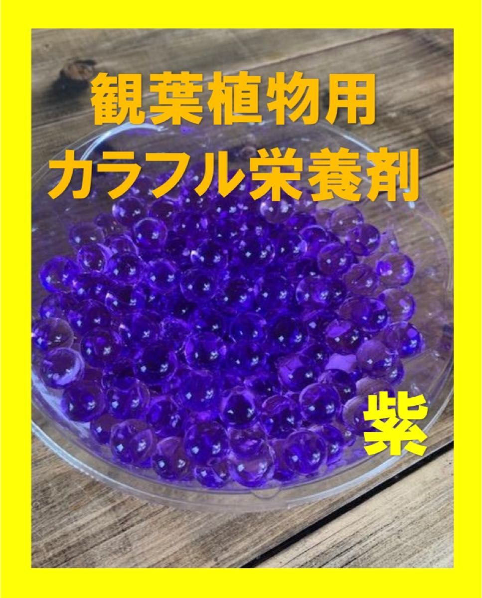 観葉植物　カラフル栄養剤　ガーデニング土　紫ビーズ5g