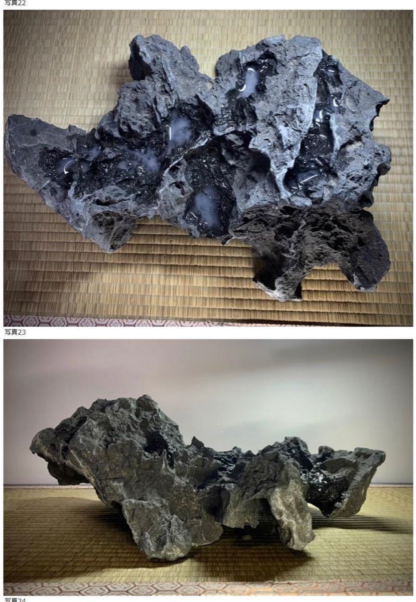 信濃美術石博物館】水石 揖斐川白倉谷ジャグレ石 溜まり石 ウブ 横40