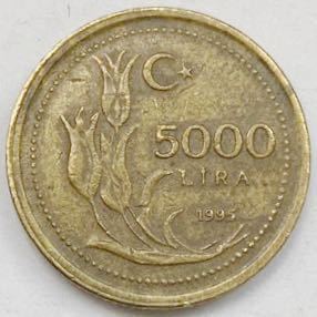 海外コイン　トルコ　5000リラ　1995年_画像1
