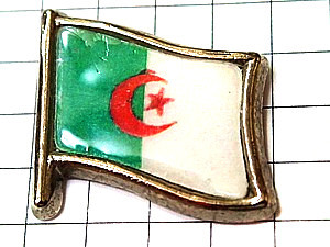 ピンバッジ・アルジェリア国旗◆フランス限定ピンズ◆レアなヴィンテージものピンバッチ_画像1