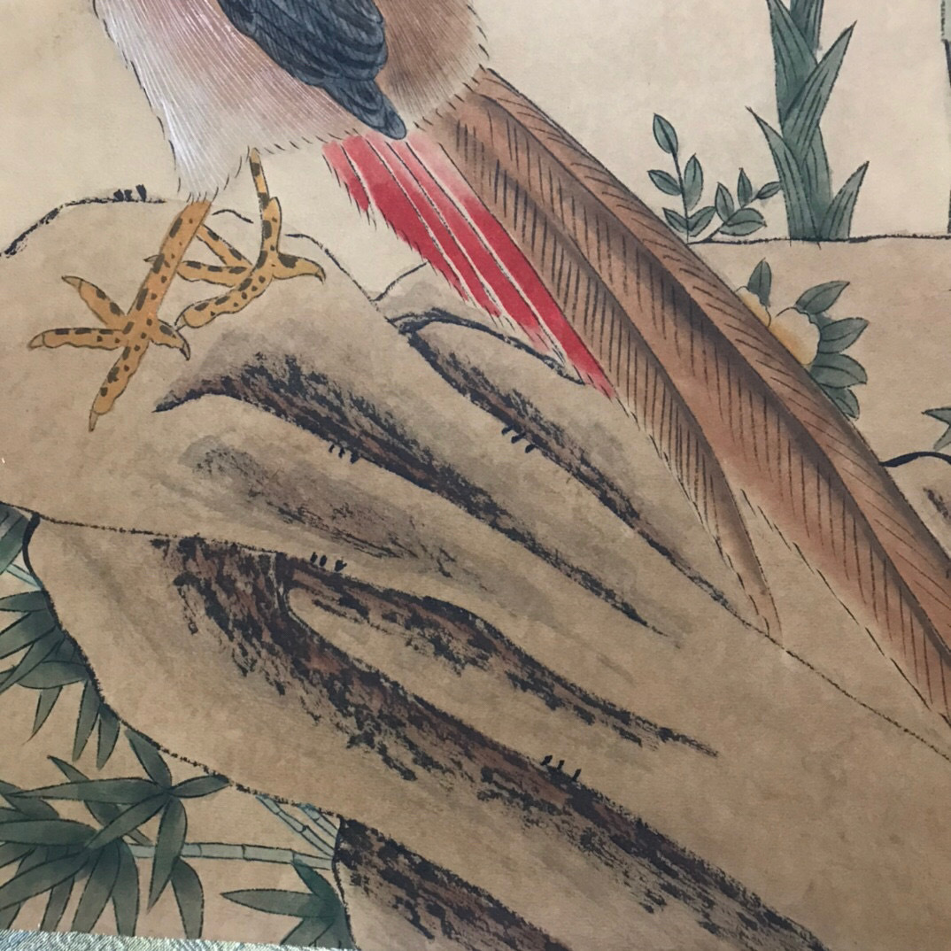 清代画家徐揚・中国書画花鳥図肉筆紙本・掛軸卷画・中国美術