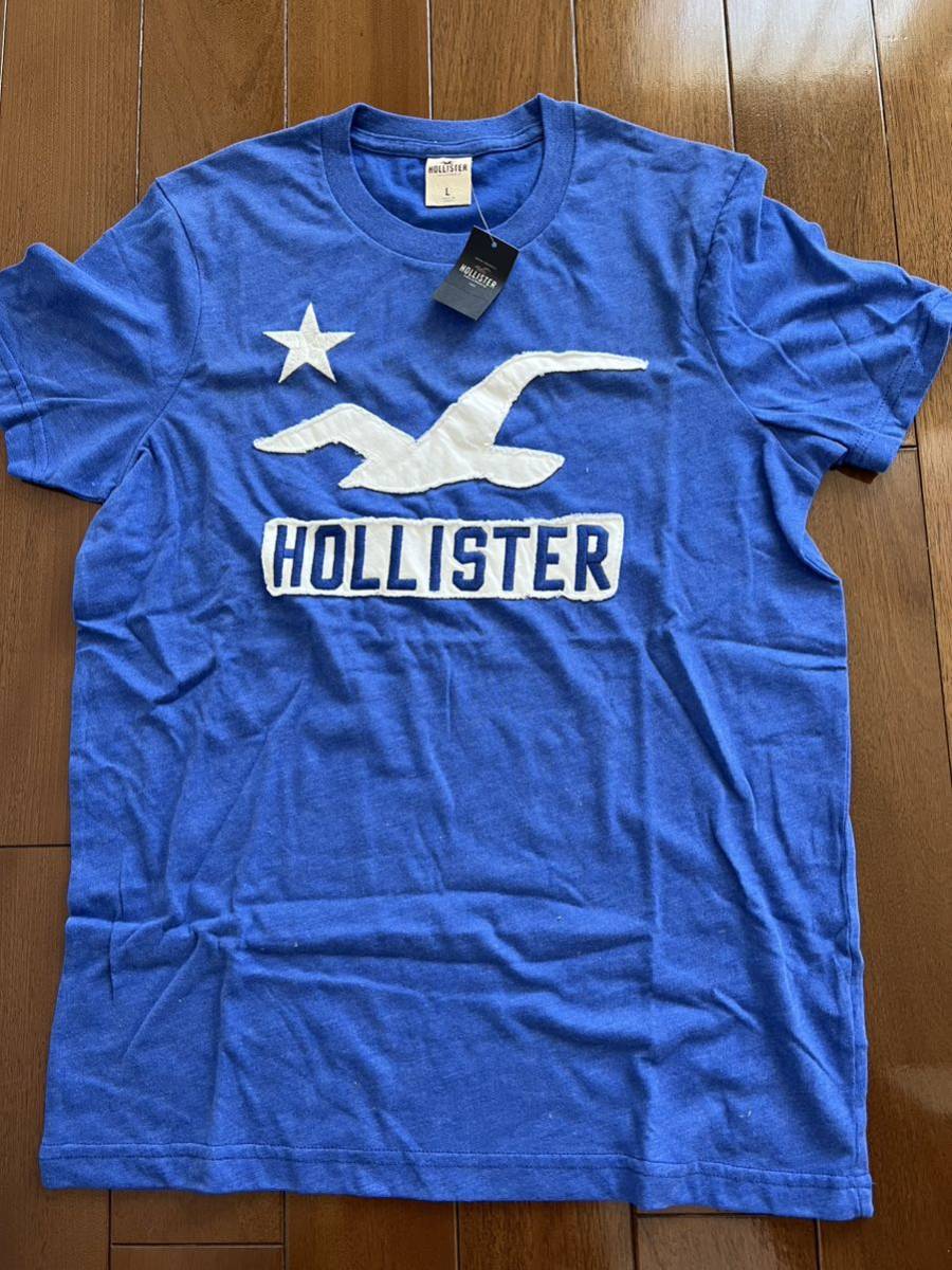 新品　Hollister Tシャツ 半袖　メンズ ホリスター US:Lサイズ　アバクロ_画像1