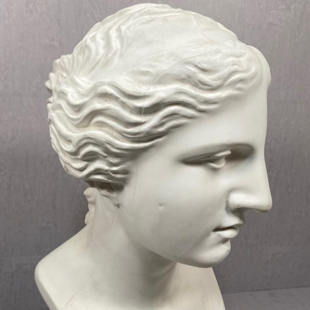 石膏像　ミロのヴィーナス デッサン 胸像 絵画 オブジェ 彫刻 インテリア