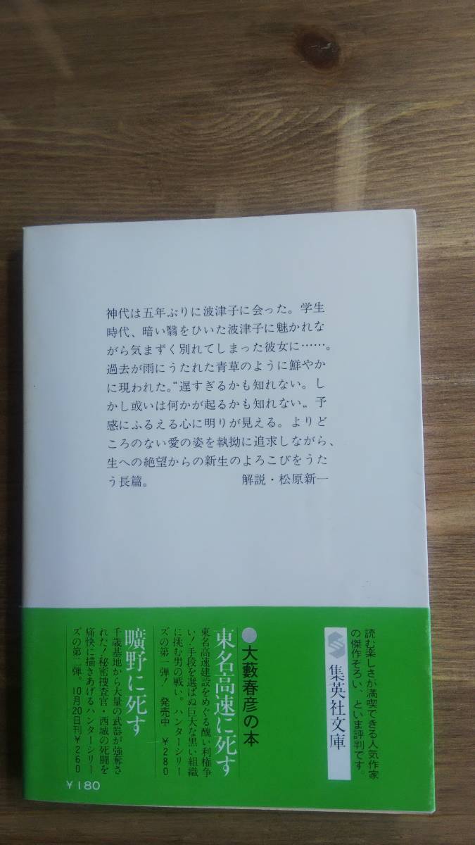 （BT‐16）　夜明けの土地 (集英社文庫)　　　著者＝高井有一　