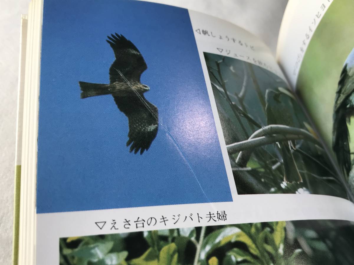 ka.... bird Shibata ..... library 1983 year ....*.... series 14 reading manner. chronicle . style wild bird 
