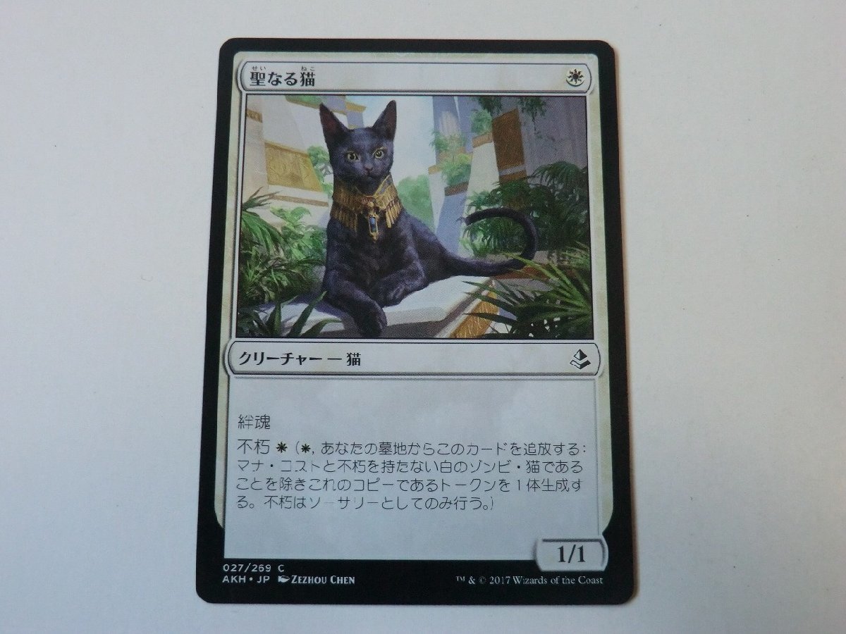 MTG 美品 【聖なる猫】 （コモン） アモンケット AKH 日 1枚迄_画像1