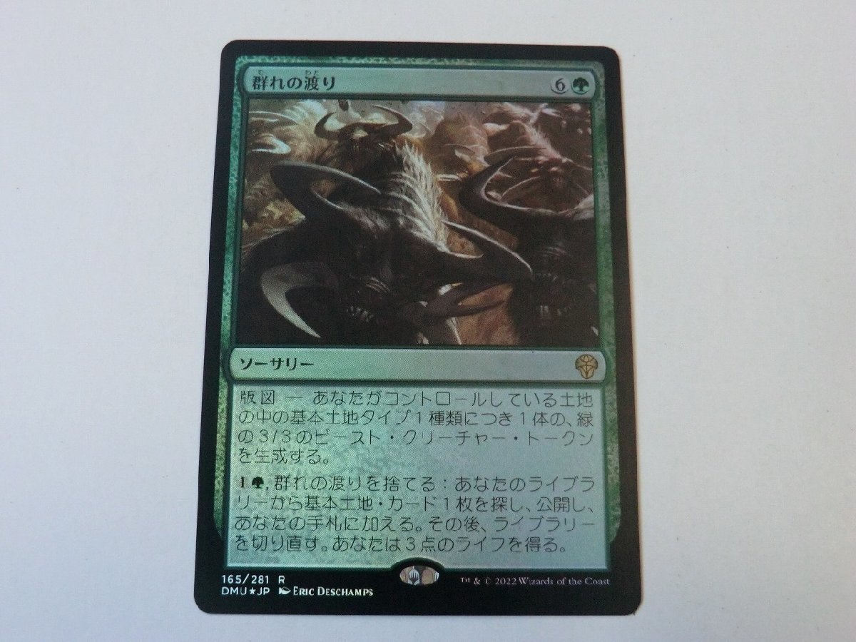 MTG 美品 【群れの渡り（FOIL）】 （レア） 団結のドミナリア DMU 日 2枚迄_画像1