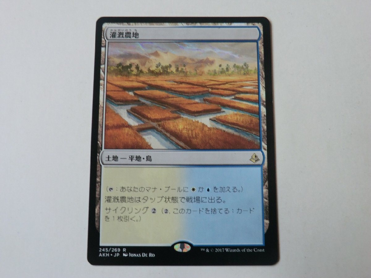 MTG 美品 【灌漑農地】 （レア） アモンケット AKH 日 1枚迄_画像1