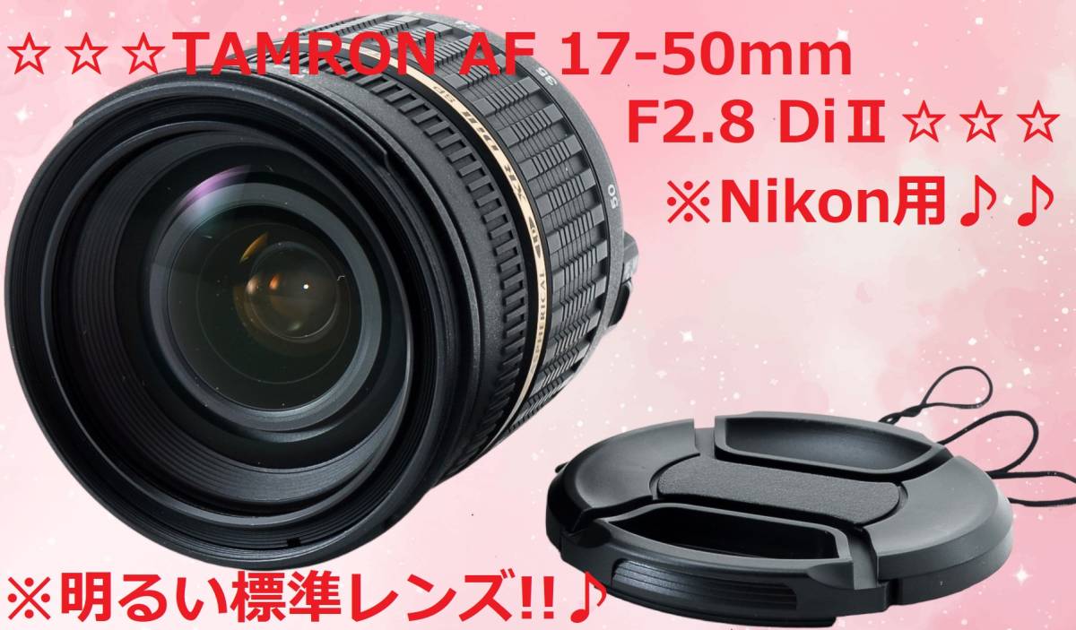 Nikon用 TAMRON AF 17-50mm F2.8 DiⅡ #5417