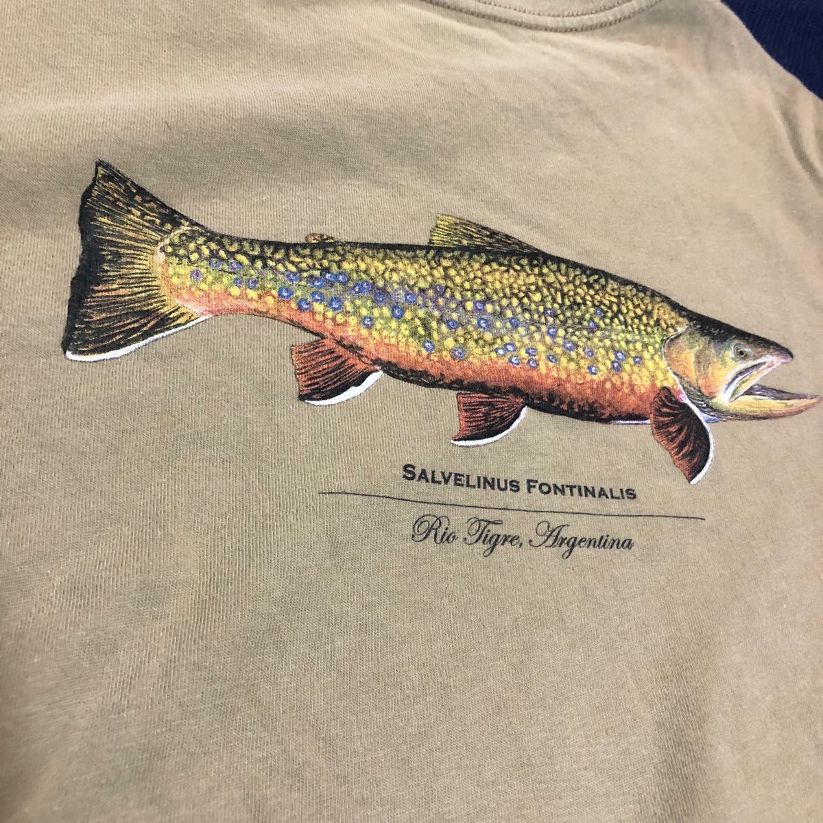 廃盤 patagonia world trout Tシャツ ワールドトラウト｜PayPayフリマ