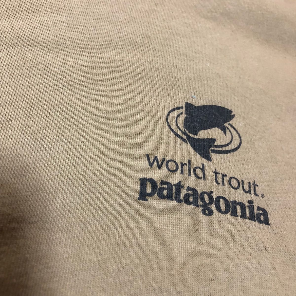 廃盤 patagonia world trout Tシャツ ワールドトラウト｜PayPayフリマ