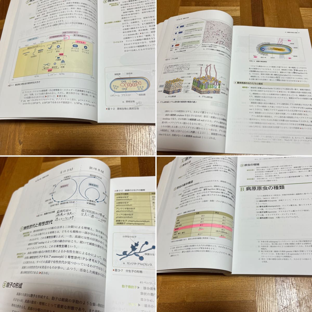 系統看護学講座　専門基礎分野　微生物学　疾病のなりたちと回復の促進4 第13版