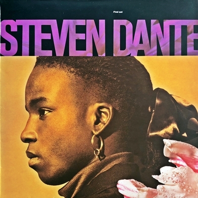 【Disco & Funk】LP Steven Dante / Find Out_画像1