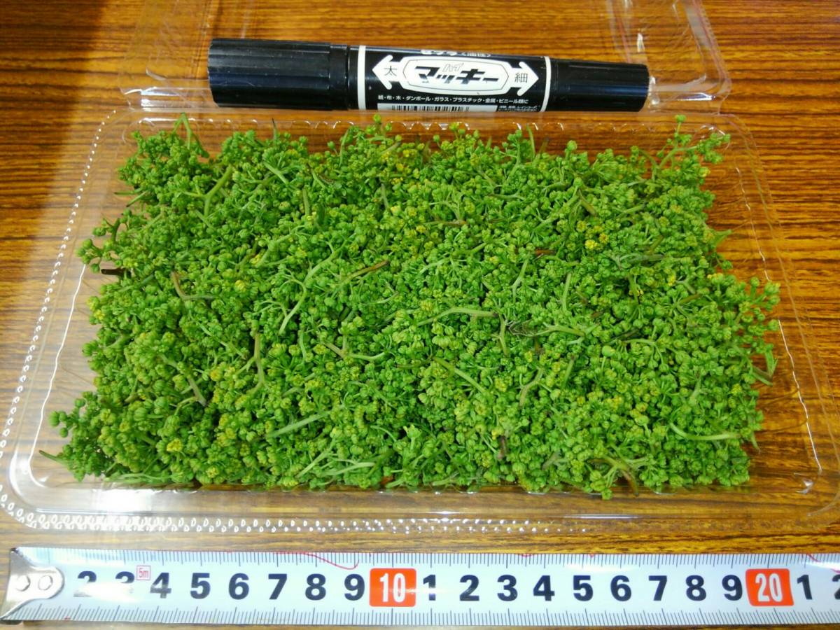 公式ショップ】 ゆんたん様専用 花山椒 600g ゆんたん様専用