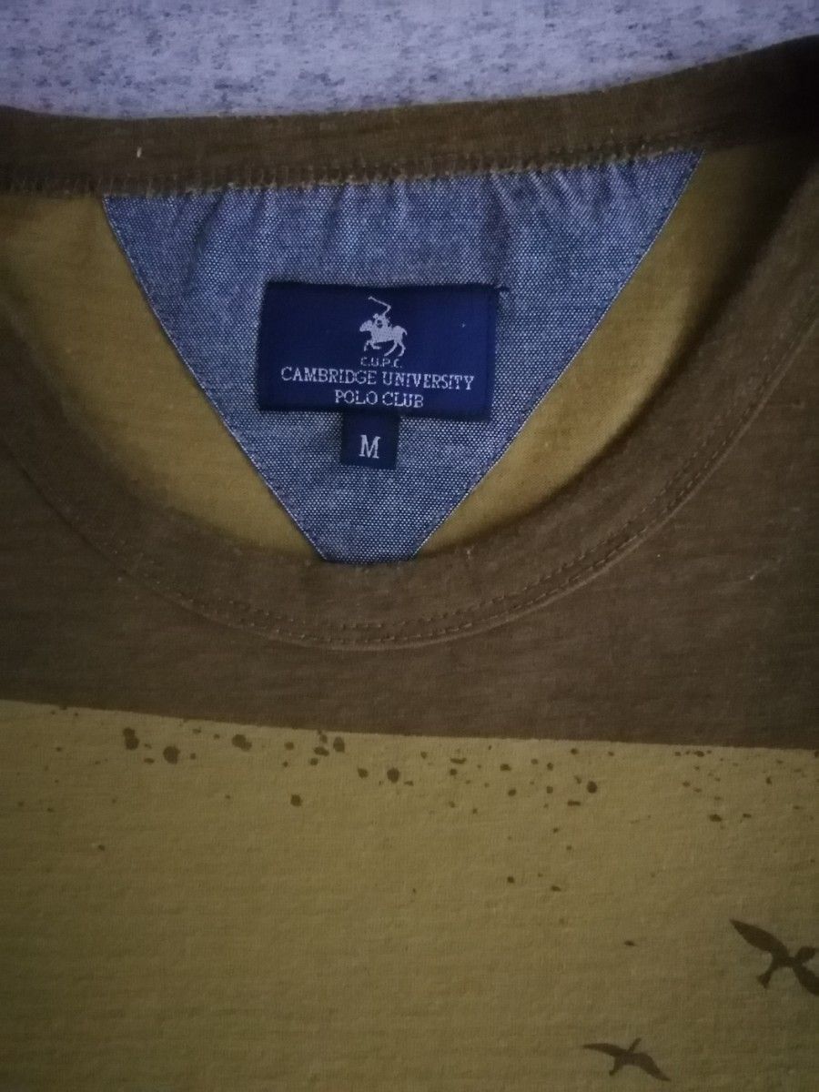 CAMBRIDGE UNIVERSITY POLO CLUB　　　メンズTシャツ　半袖　サイズM