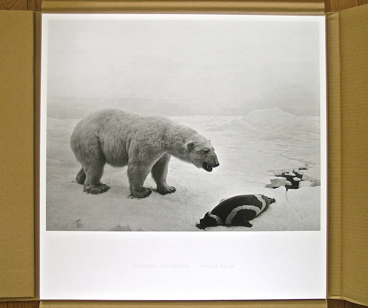 杉本博司 ポスター「POLAR BEAR」(ポーラー ベア) シロクマ 限定300部　HIROSHI SUGIMOTO