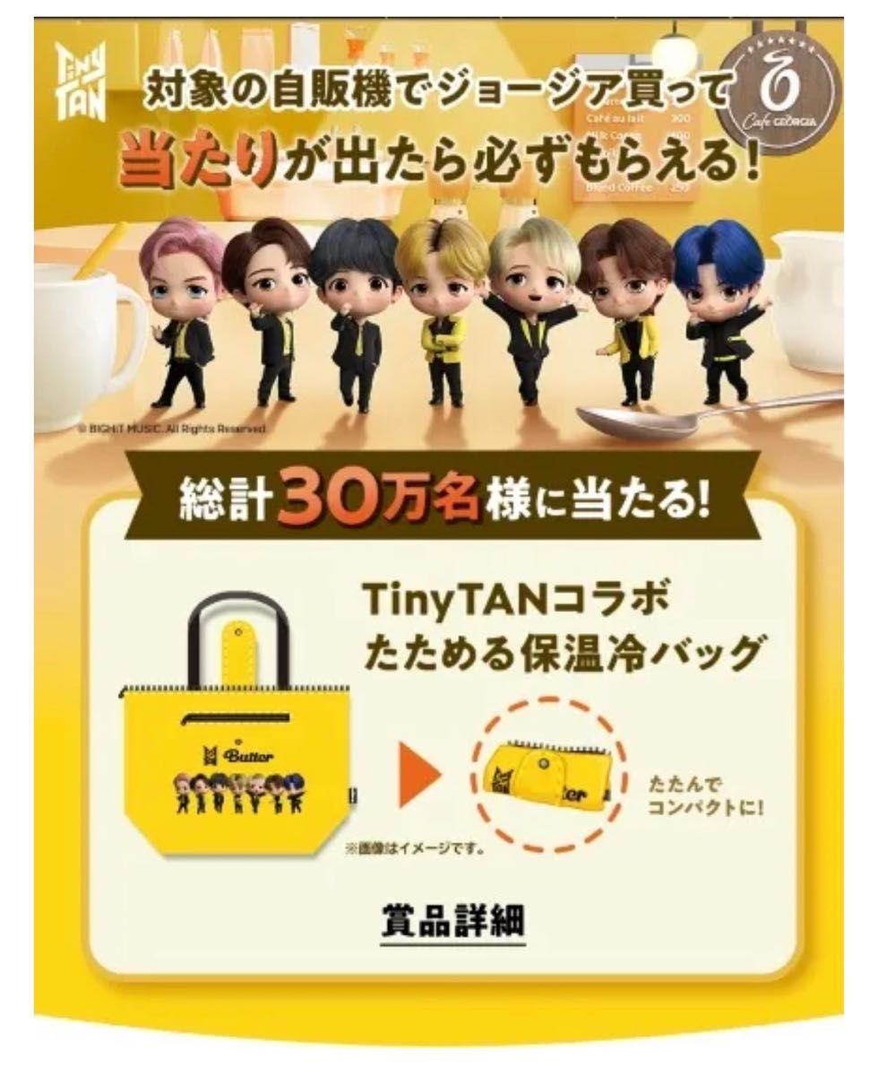 BTS TinyTANタイニータンたためる保温冷バッグGEORGIAジョージア