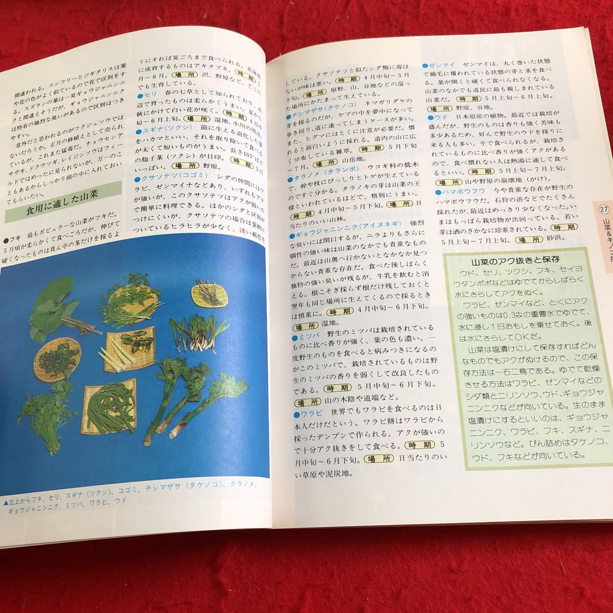 S6b-118 北海道 アウトドアライフ全科 木下法行 北海道新聞社 昭和62年発行 アウトドアライフ入門 ネイチャリング 野外生活 スポーツ_画像6