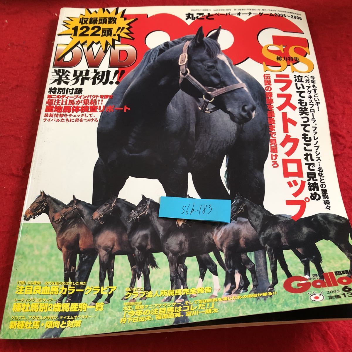 S6b-183 Gallop 丸ごとPOG DVD付き ペーパーオーナーゲーム2005〜2006 厳選注目馬カラー紹介 臨時増刊 2005年発行 産業経済新聞社_傷あり