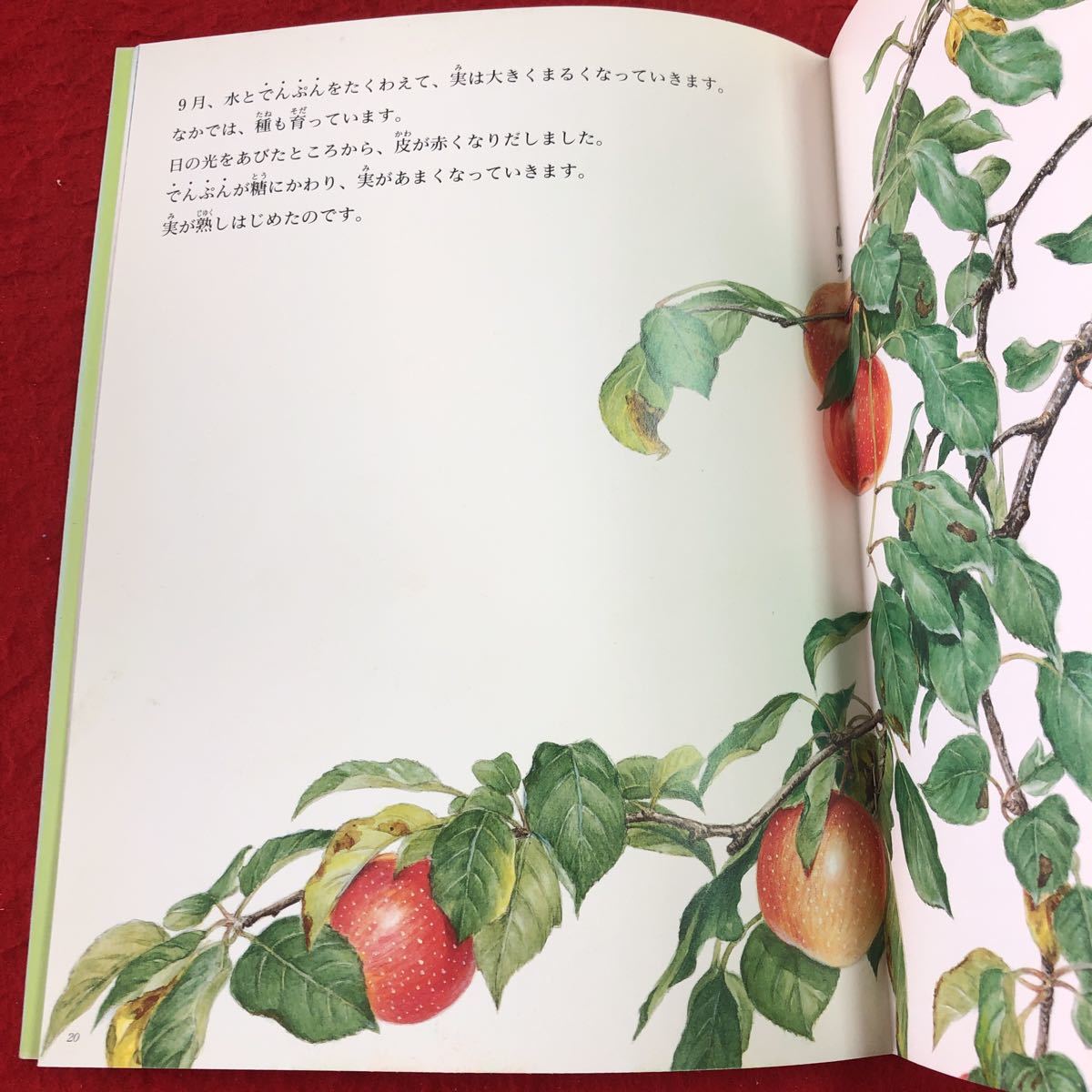 item_image_6