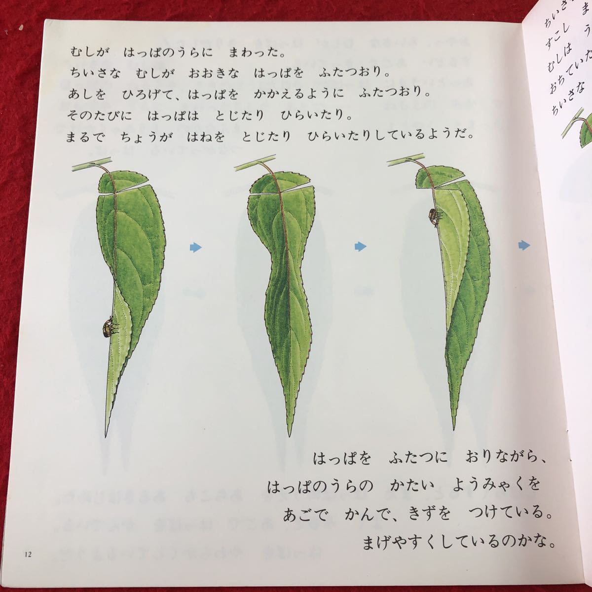 item_image_6