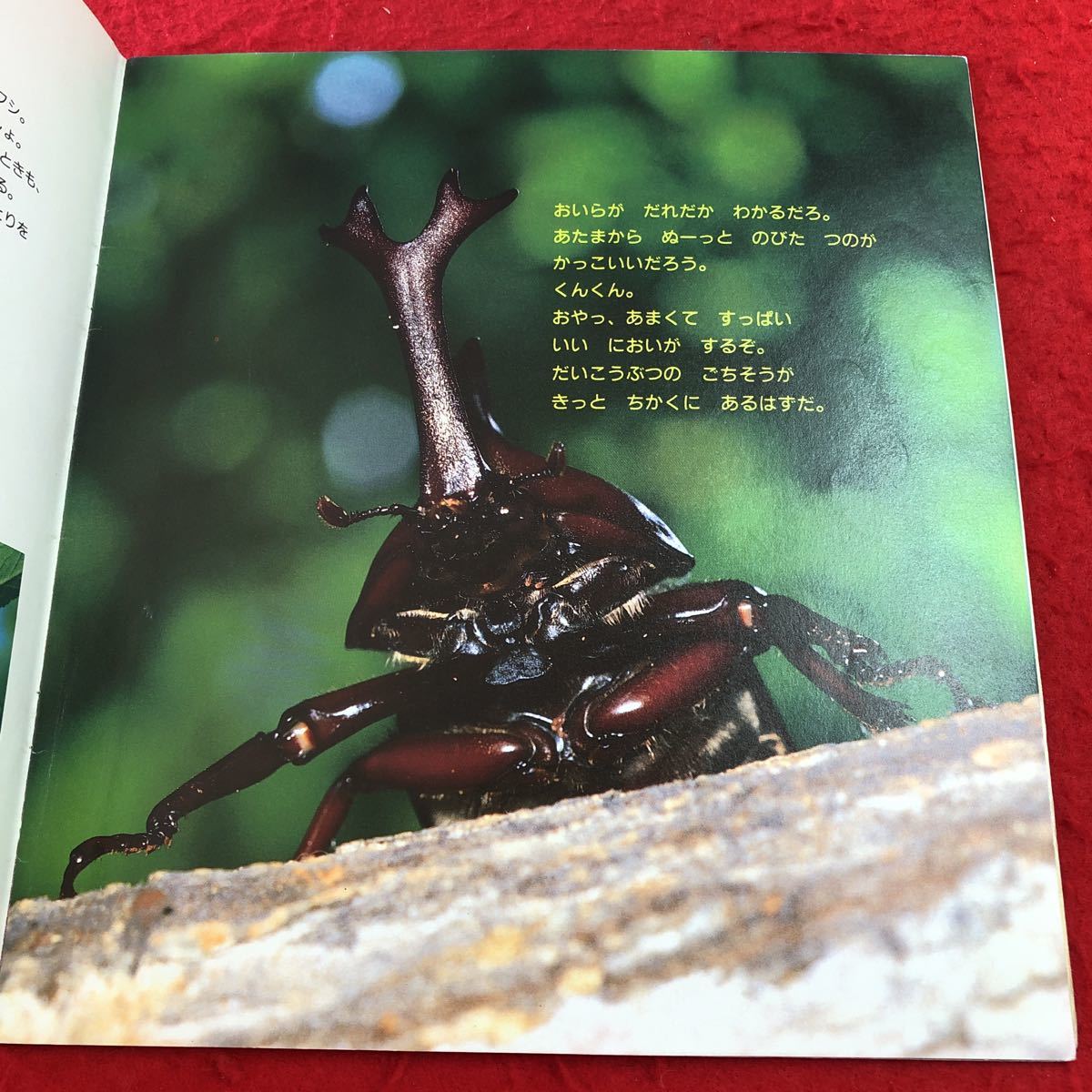 item_image_5
