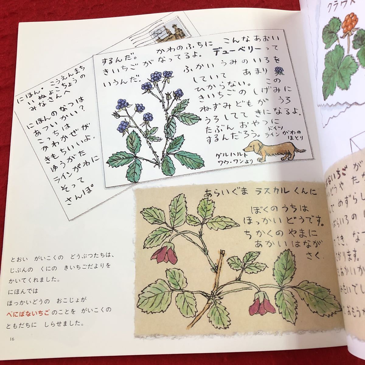 item_image_7