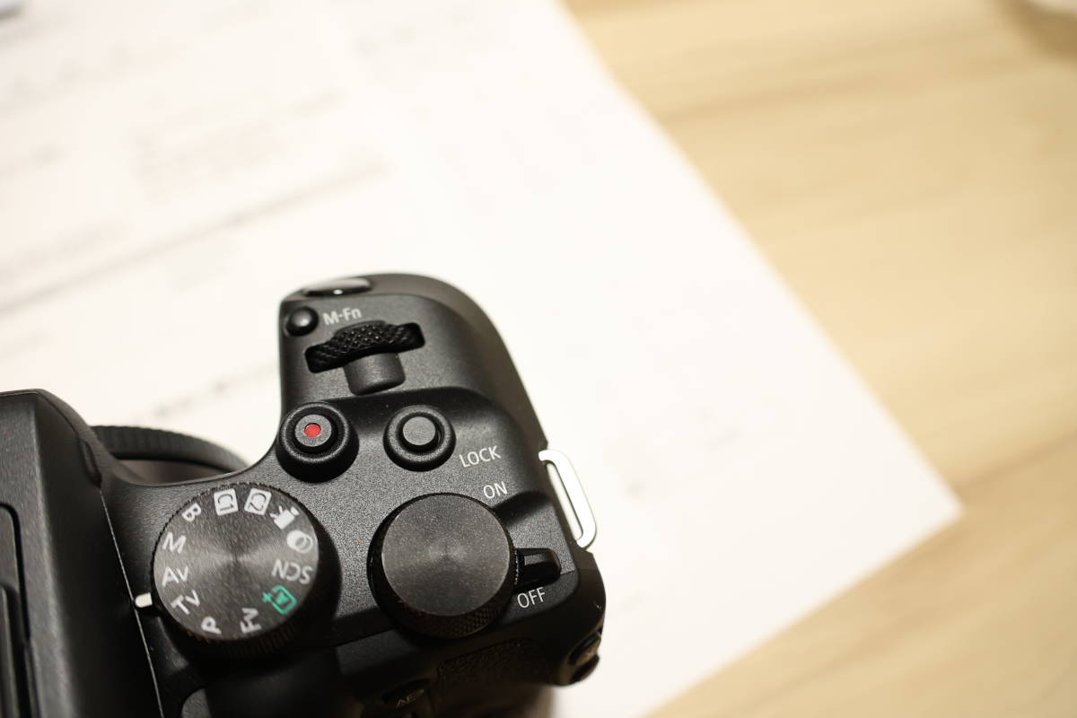 美品】キヤノン CANON EOS R10 ボディ 保証残 ミラーレス 一眼レフ ASP