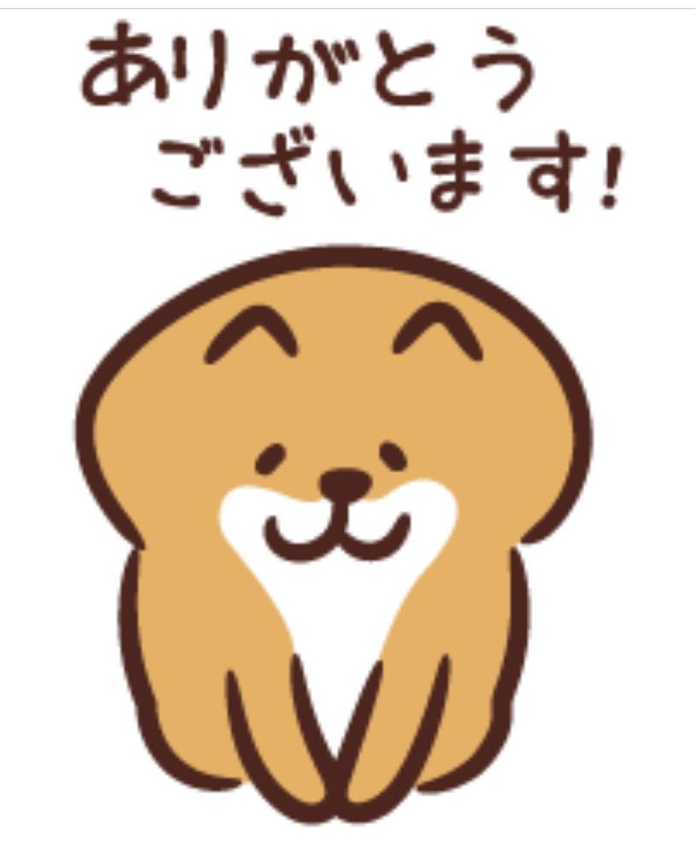 ゆきうさぎ様 専用|Yahoo!フリマ(旧PayPayフリマ)