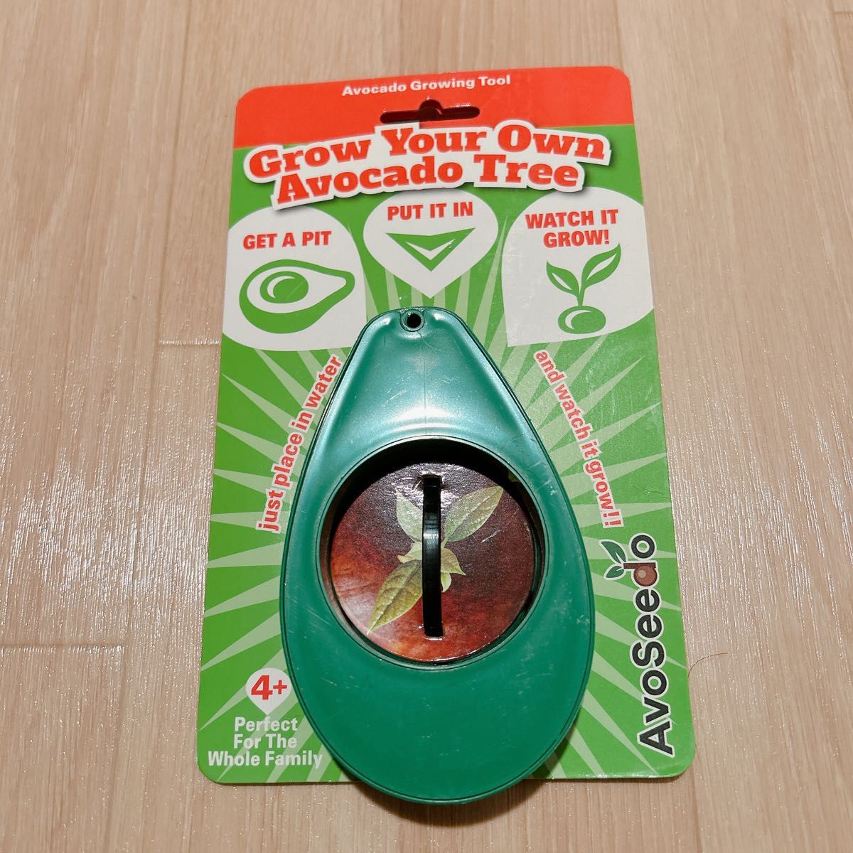 お1人様1点限り】 AvoSeedo ボール アボガドの木を自分で育てよう