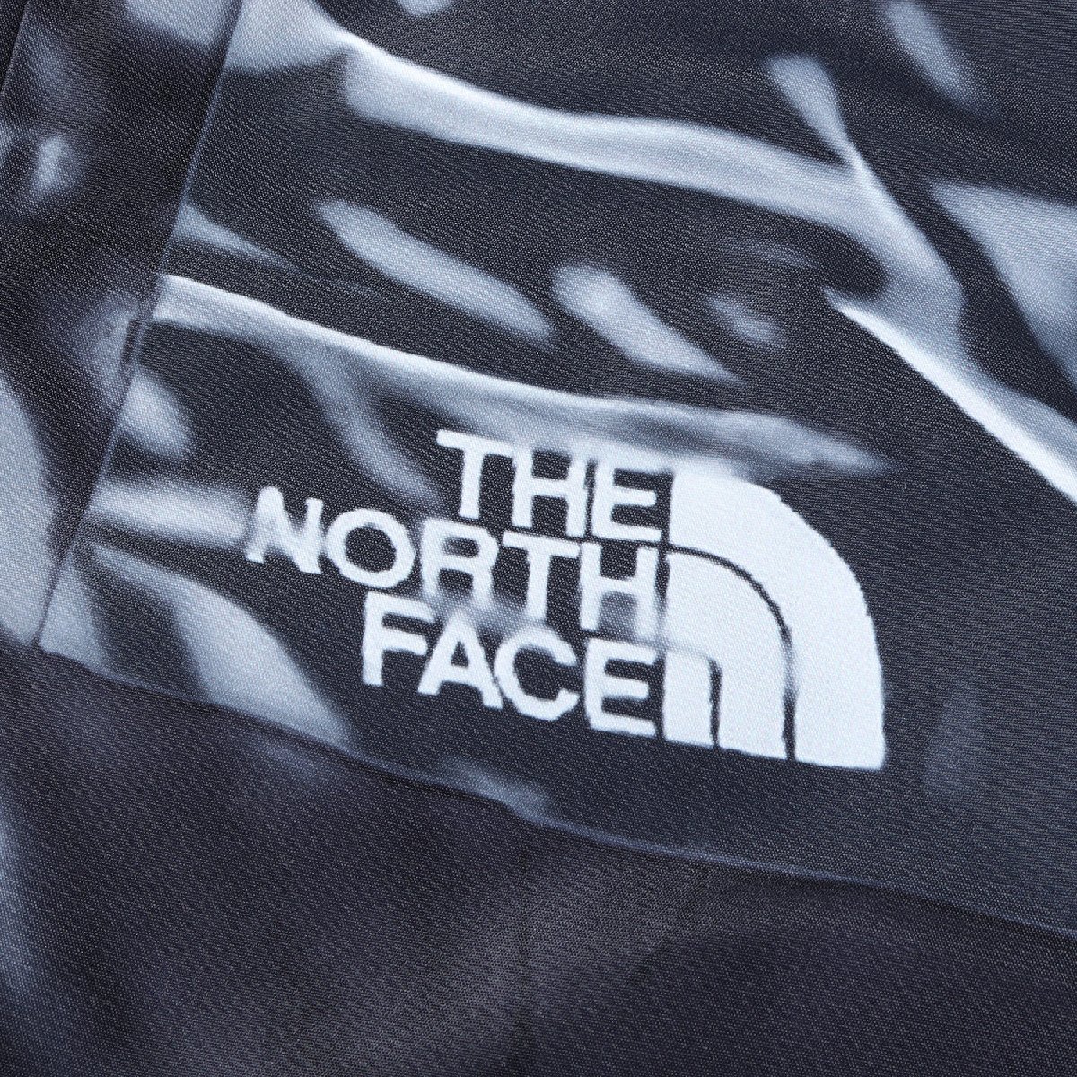 Supreme シュプリーム THE NORTH FACE 騙し絵 テープドシーム シェル