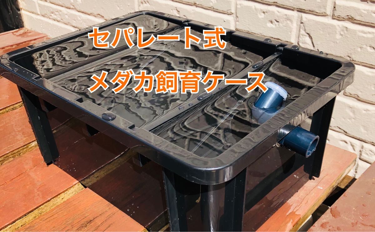 メダカ飼育ケース セパレート|Yahoo!フリマ(旧PayPayフリマ) メダカ飼育ケース セパレート|Yahoo!フリマ(旧PayPayフリマ)