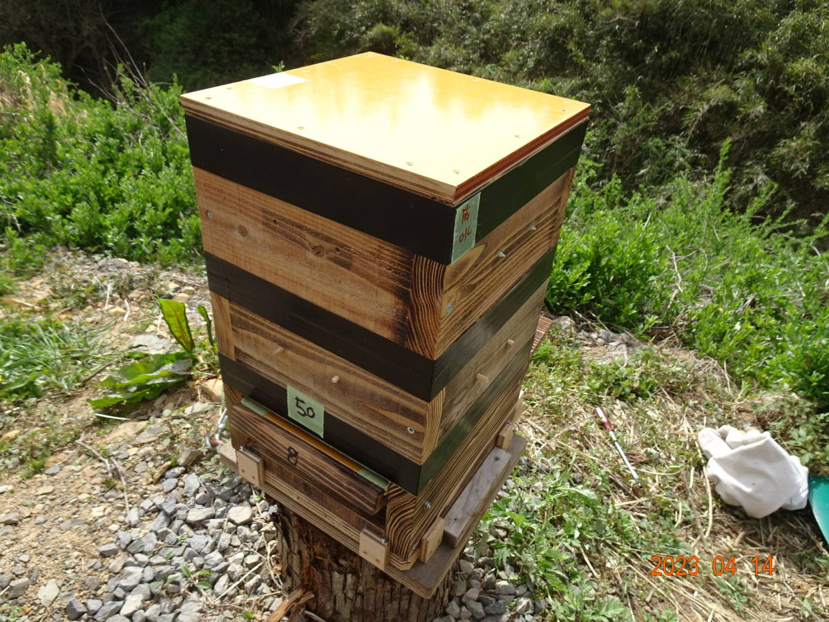 ☆日本蜜蜂 日本ミツバチ　第一分蜂群捕獲　引取り限定☆_底板巣門は画像9と交換/それ以外は画像の物