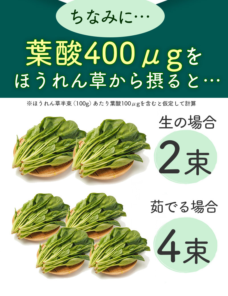 栄養機能食品 葉酸サプリ ６０粒 6袋セット 各種ビタミン マカエキス 西洋タンポポ 亜鉛 鉄 等の必須ミネラル8種 国産野菜10種_画像8