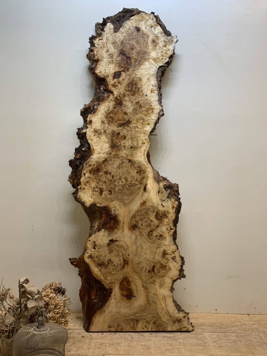 3 ポプラ 瘤杢 1680x560x57 一枚板 DIY 天板 カウンター 棚板 皿 小物