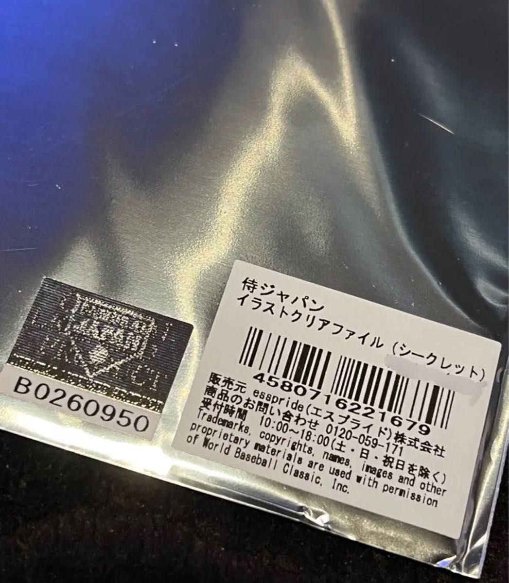 WBC 侍ジャパン ヌートバー　たっちゃん 超激レアシークレット　クリアファイル