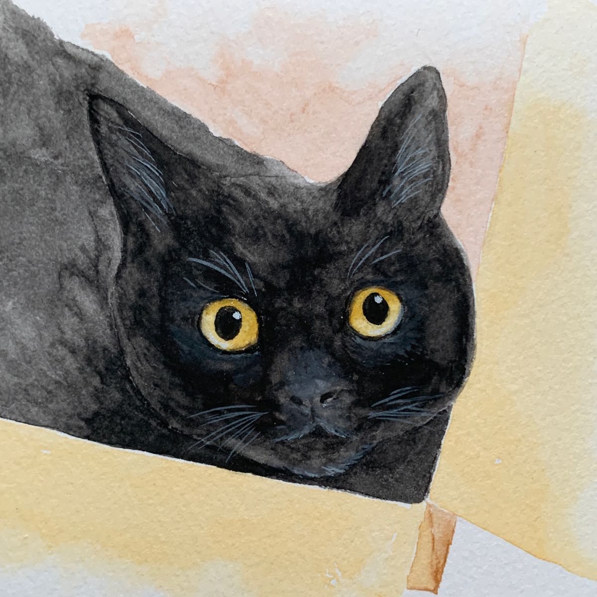 黒猫　水彩画　イラスト